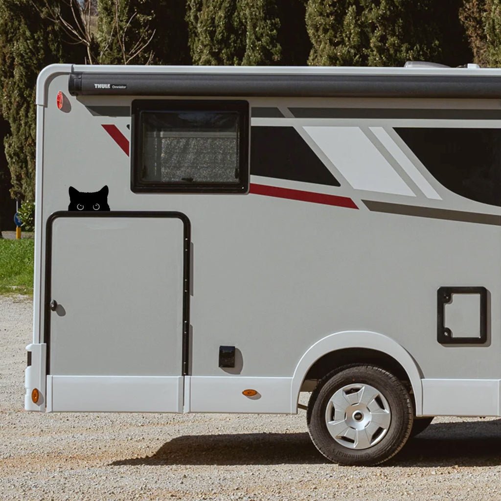 Curious cat sticker - Camperstickers